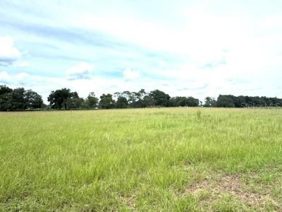 CR 635, Bushnell, Florida 33513, Estados Unidos