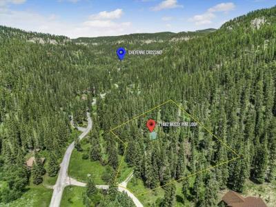 21482 Mossy Pine Loop, Lead, 南達科他州 57754, 美國