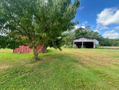1835 Charles Elgin Rd, Eubank, Kentucky 42567, Estados Unidos