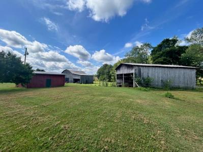 1835 Charles Elgin Rd, Eubank, Kentucky 42567, Estados Unidos