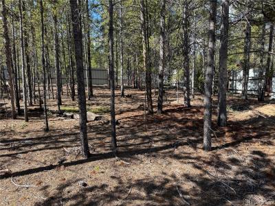 379 Spruce Drive, Leadville, Colorado 80461, Amerika Birleşik Devletleri