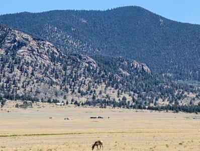8127 Larimer Road, Hartsel, Colorado 80449, USA