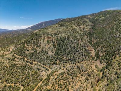000 TBD County Road 15, Poncha Springs, Colorado 81242