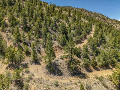 000 TBD County Road 15, Poncha Springs, Colorado 81242, USA