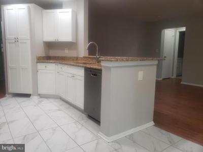 5032 Beech Court, Monmouth Junction, NJ 08852, USA