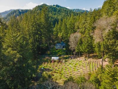 57951 Foster Creek Rd, Laytonville, California 95454, USA