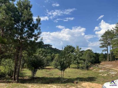 0 Elberta Road, Centerville, Georgia 31028, Estados Unidos
