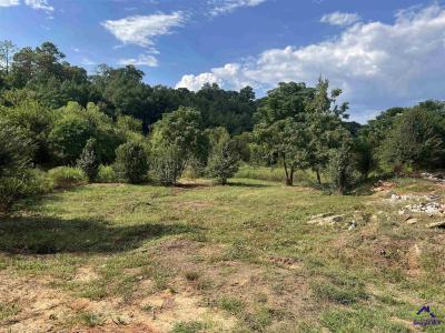 0 Elberta Road, Centerville, Georgia 31028, USA