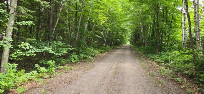 Lot 7 Bolton Lk Ln W, Lac Du Flambeau, Wisconsin 54538, États-Unis