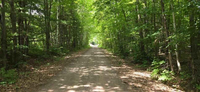 Lot 7 Bolton Lk Ln W, Lac Du Flambeau, Wisconsin 54538, États-Unis