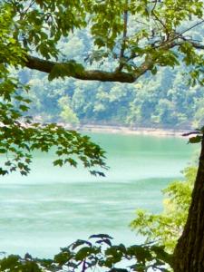 478 Eagles Bluff Rd, Monticello, Kentucky 42633, États-Unis