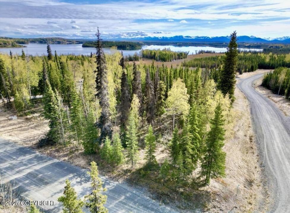 Tr A4 Aletha Court, Soldotna, 阿拉斯加州 99669, 美国