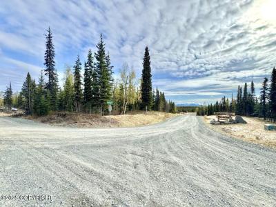 Tr A4 Aletha Court, Soldotna, 阿拉斯加州 99669, 美国