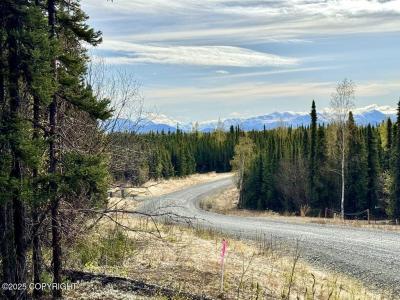 Tr A4 Aletha Court, Soldotna, 阿拉斯加州 99669, 美国
