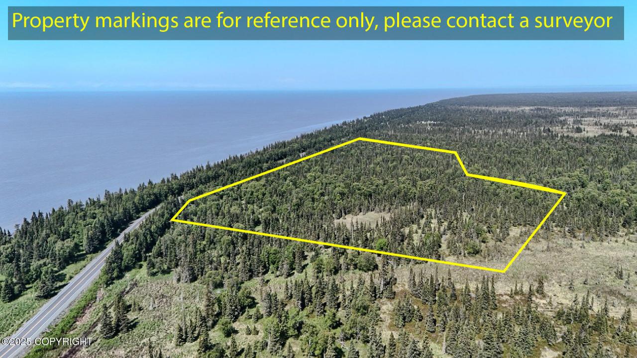 Tr D Cohoe Loop Road, Kasilof, Alaska 99610, HOA KỲ