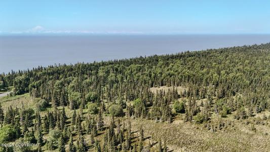 Tr D Cohoe Loop Road, Kasilof, Alaska 99610, HOA KỲ