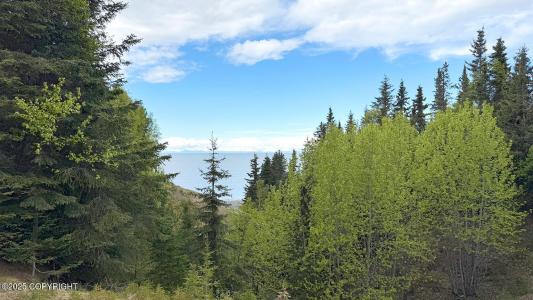 Tr D Cohoe Loop Road, Kasilof, Alaska 99610, HOA KỲ