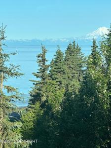 Tr D Cohoe Loop Road, Kasilof, Alaska 99610, HOA KỲ
