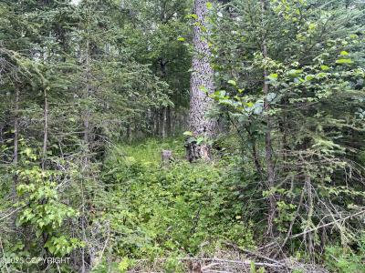 51376 Chilkat Drive, Nikiski/north Kenai, Alaska 99611