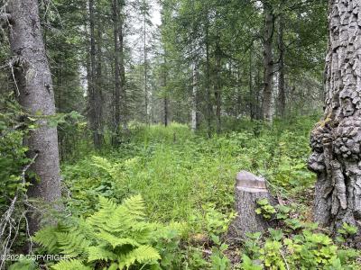 51376 Chilkat Drive, Nikiski/north Kenai, Alaska 99611
