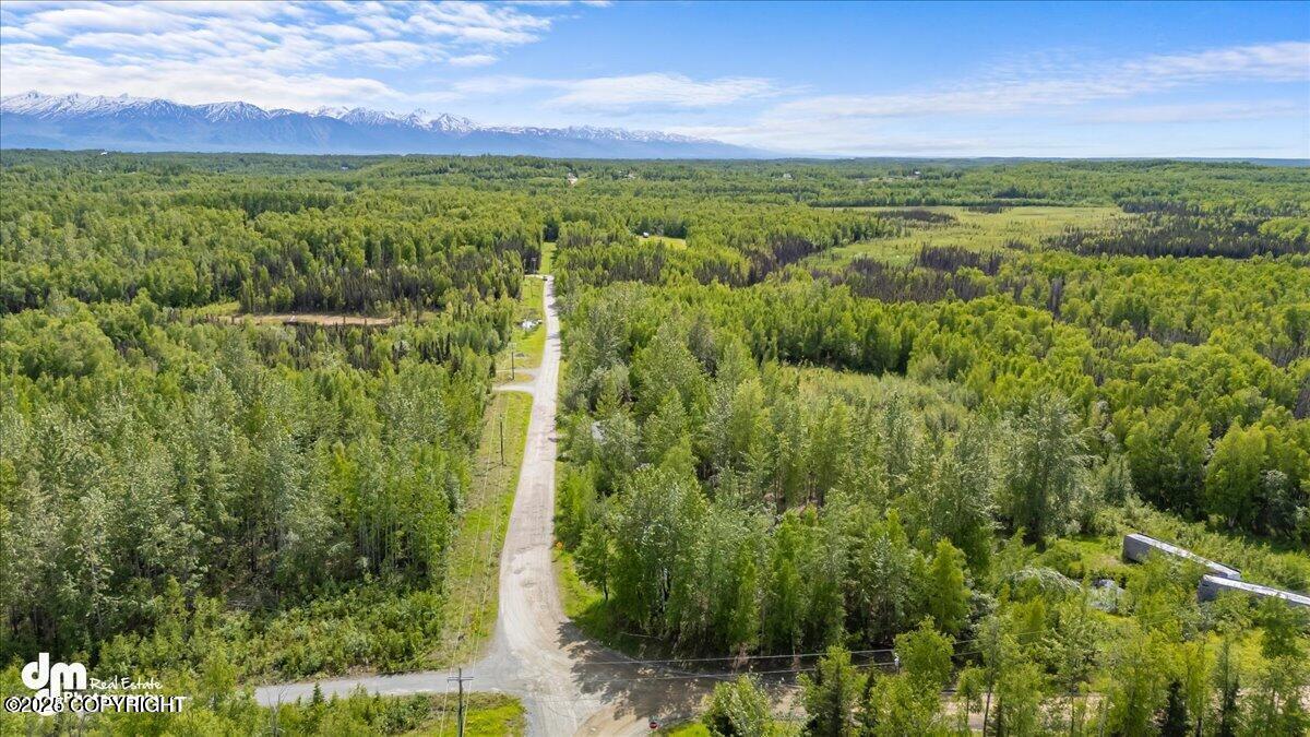 4052 N Alvin's Alley Avenue, Wasilla, Alaska 99623, Stati Uniti