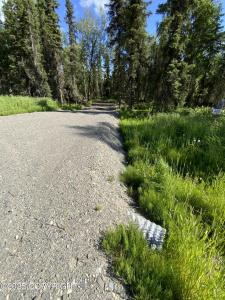 731 Riggs Avenue, Soldotna, Alaska 99669, États-Unis