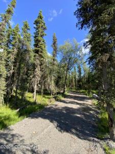 731 Riggs Avenue, Soldotna, Alaska 99669, Estados Unidos