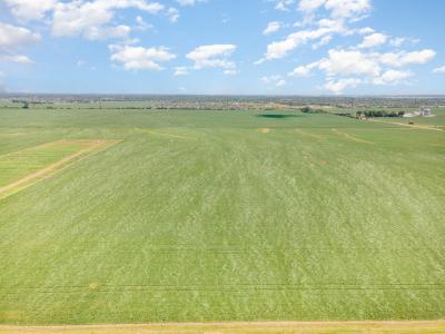 00 County Line Road, Shorewood, Иллинойс 60404, Соединенные Штаты