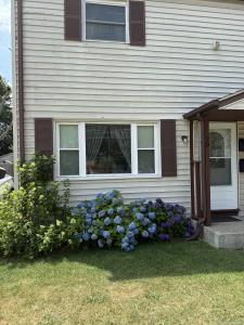 79 Wooster Ave, Stratford, Connecticut 06615, Estados Unidos