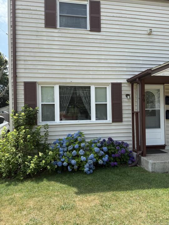 79 Wooster Ave, Stratford, Connecticut 06615, Stati Uniti