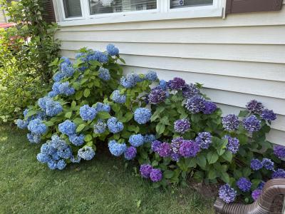 79 Wooster Ave, Stratford, Connecticut 06615, Stati Uniti