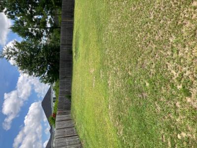 1216 Ackerman Drive, Graniteville, Carolina Del Sur 29829, Estados Unidos
