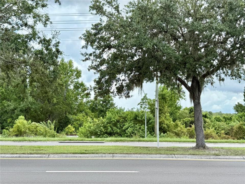 O Hwy 41 (24-26-18-0000-03300-0010), Land O Lakes, フロリダ 34638, アメリカ合衆国