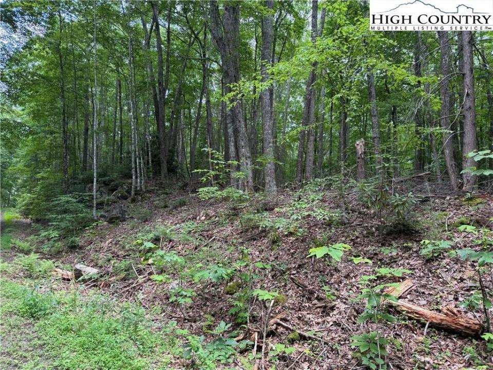 Tbd Red Clover, Beech Mountain, North Carolina 28604, Stati Uniti