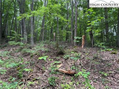 Tbd Red Clover, Beech Mountain, North Carolina 28604, Stati Uniti