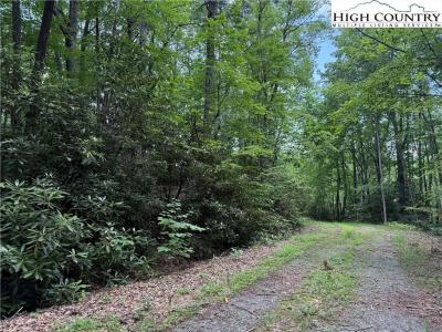 Tbd Red Clover, Beech Mountain, North Carolina 28604, Stati Uniti