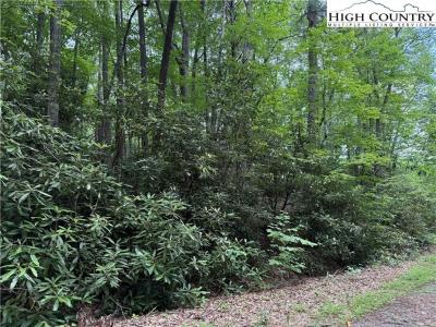 Tbd Red Clover, Beech Mountain, North Carolina 28604, Stati Uniti