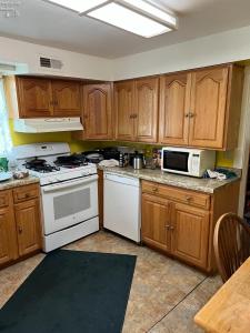 222 Bertha Avenue, Clyde, أوهايو 43410, الولايات المتحدة