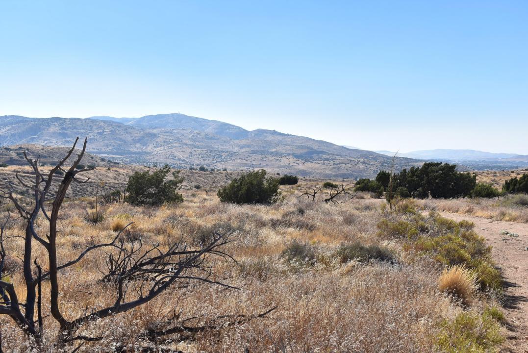 Carson View Ln APN 3053-029-027, Palmdale, كاليفورنيا 93550, الولايات المتحدة