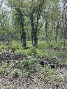 1.62 Ac Deer Run Road, Montello, Wisconsin 53949, USA