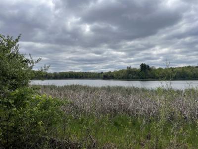 2.8 Ac Deer Run Road, Montello, Wisconsin 53949, USA