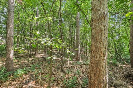 0 Pine Ridge Court, Portage, Wisconsin 53901, USA