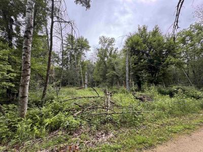 1.18 Acres Deer Run Road, Montello, 威斯康辛州 53949, 美国