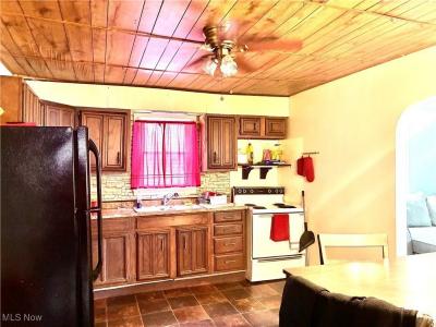 118 S Shadylane, East Liverpool, Ohio 43920, Stati Uniti