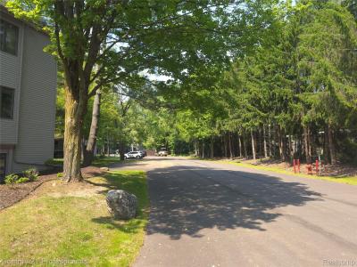 5714 Creeks Crossing, Williamsburg, ミシガン 49690, アメリカ合衆国