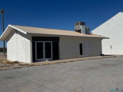 912 Richey Ave, Artesia, New Mexico 88210, Amerika Birleşik Devletleri