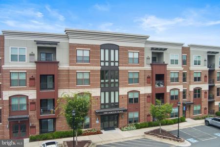 3989 Norton Place Unit# 105, Fairfax, Virginia 22030, Amerika Birleşik Devletleri