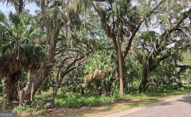 919 Wagner Lane, St. Marys, Georgia 31558