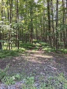 529 Pa-370, Union Dale, Pennsylvania 18470, Stati Uniti
