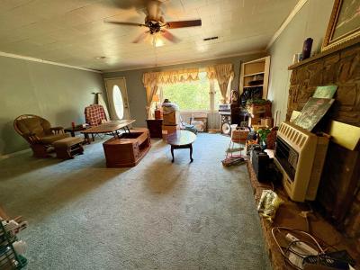 9 Summit Ridge Circle, Williford, Arkansas 72482